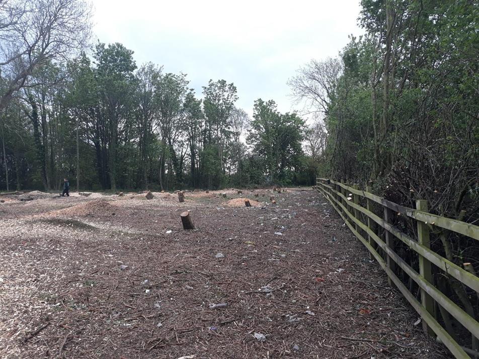 image: Forestry Commission